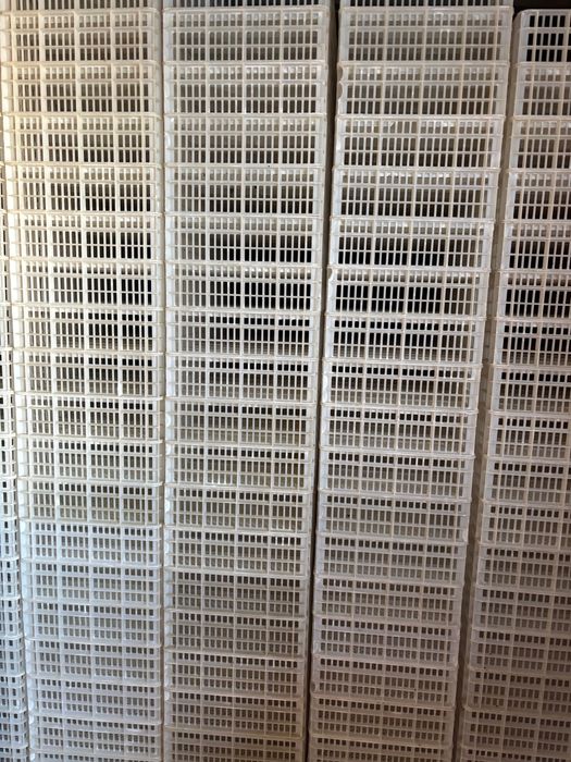 Выводные ящики для инкубатора