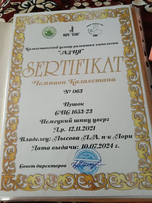 Щенки померанского шпица продаются