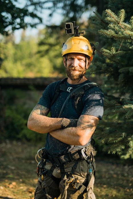 Премахване на опасни дървета, оформяне, рязане, кастрене Tree Service