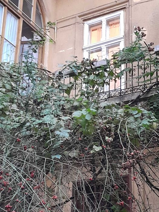 Apartament deosebit