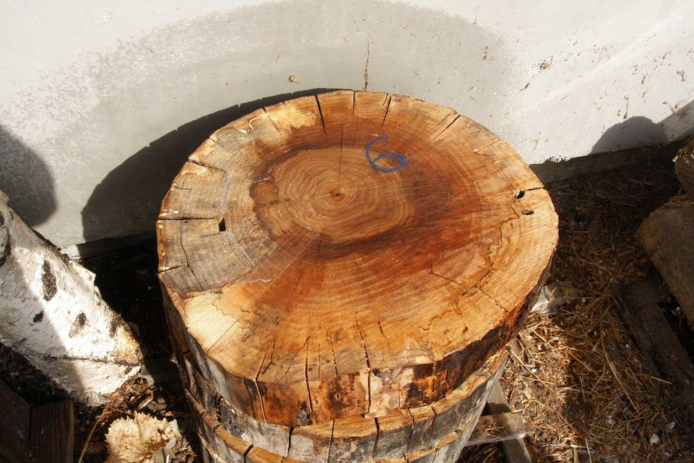 ОРЕХ шайби 50 см сухи плот масичка рустик шайба СОФИЯ