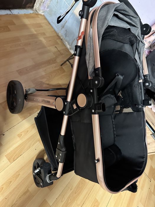 Carucior 2 in 1