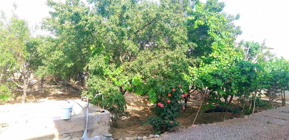 Uy Sotiladi 6 sotih yer maydonida