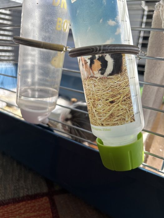 Arc adapatoare porcusori de guineea, iepuri, hamsteri