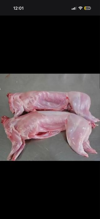 Мясо домашнего  кролика