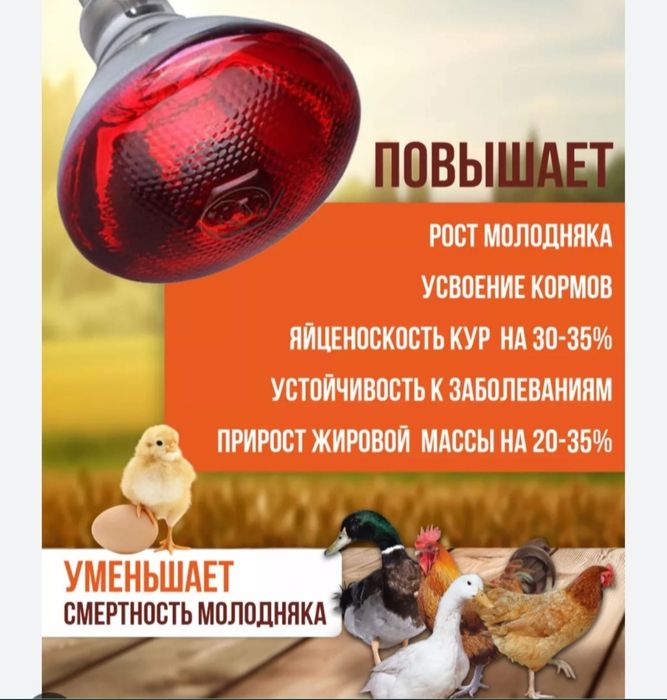 Инфракрасные лампы