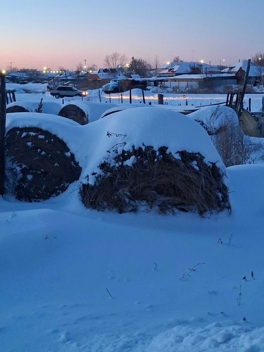 Сено в тюках хорошее