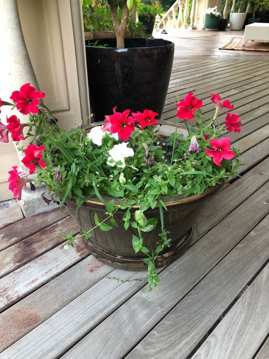 Горшки для цветов