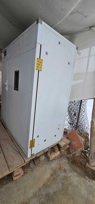 Kelishiladi inkubator