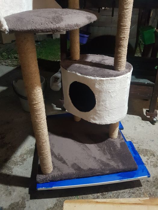 Jucarii pentru pisici