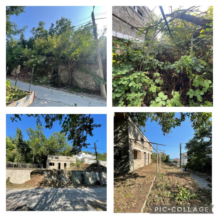 Косене  на трева, рязане на дървета,поставяне на телена ограда