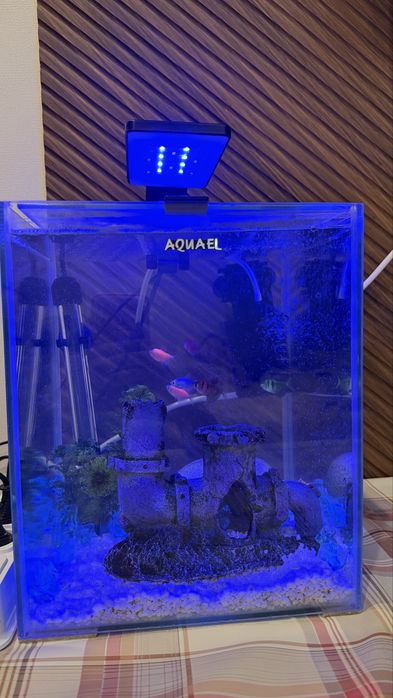 Продам аквариум 20л