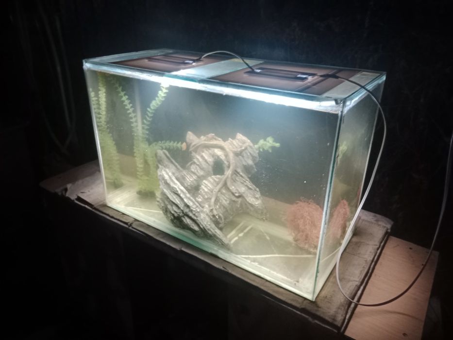 Аквариум 150л + бонусы и рыбки.