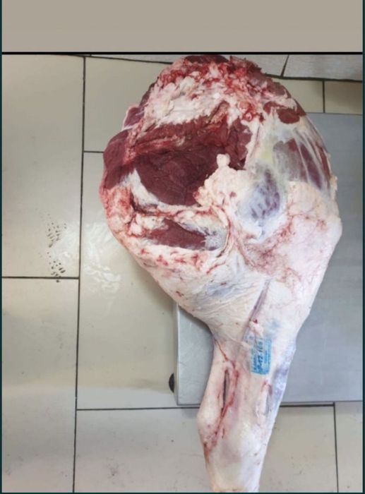 Мясо говядина Тарбагатайский