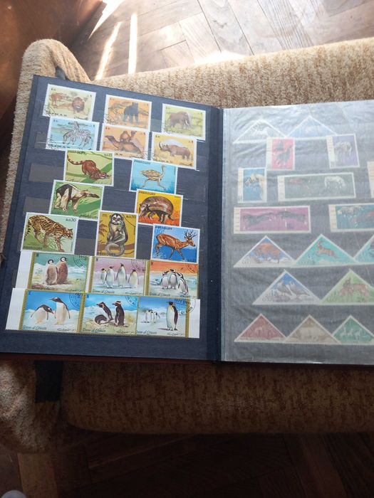 Марки и класьори