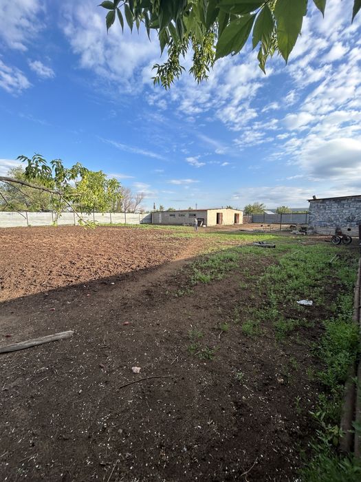 Продам. Фазенду.