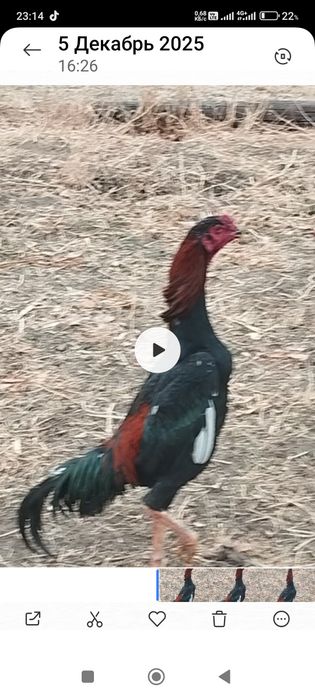 Сатлады срочнаа.