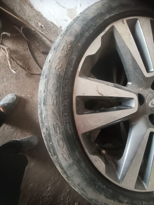 Титанка диск Веста