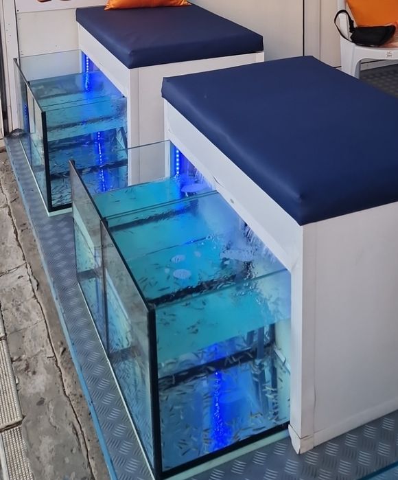 Аквариум Фиш Спа FishSpa garrarufa