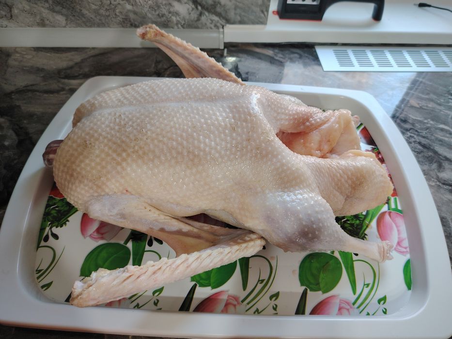 Гуси тушками продам