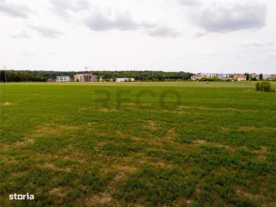 RECO Teren intravilan Haieu 4408mp