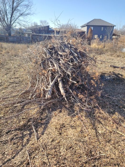 Дрова сухие еее ее