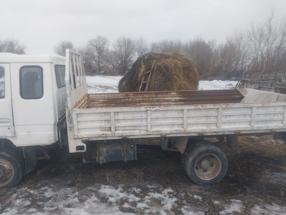 Китайский гурзавой сатлады