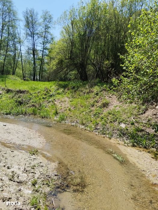 Teren de vis la munte – 7.795 mp – construibil – pârâu, pădure