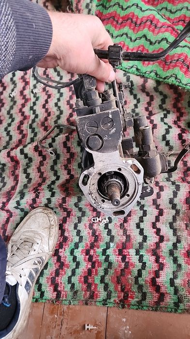 Апарат тополиный