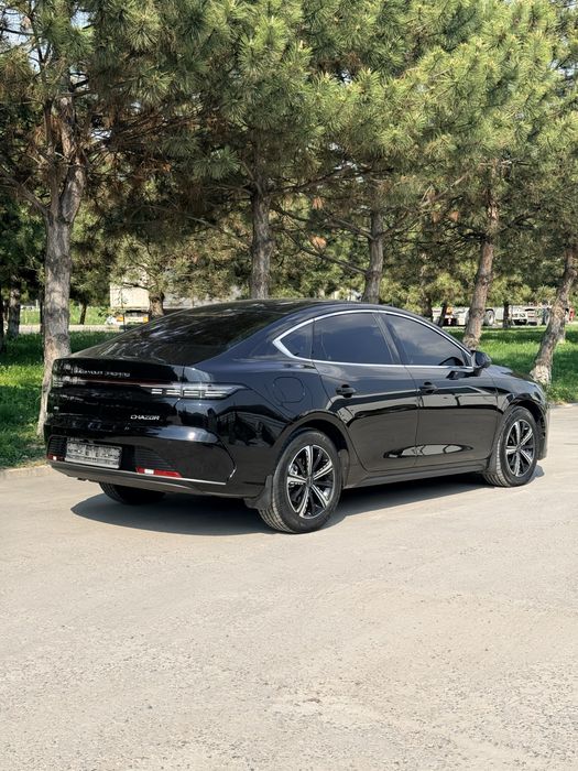 BYD Chazor 2024 — 3