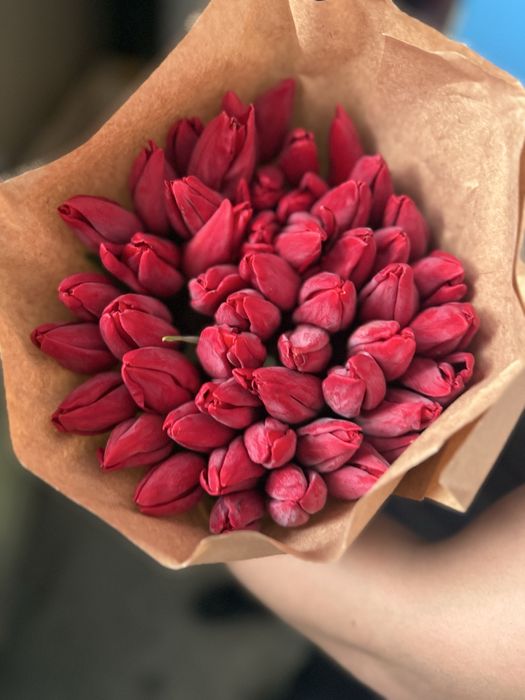 Продам тюльпаны по доступной цене!