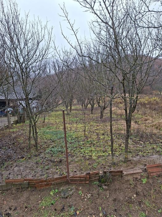 Vând casă cu teren intravilan