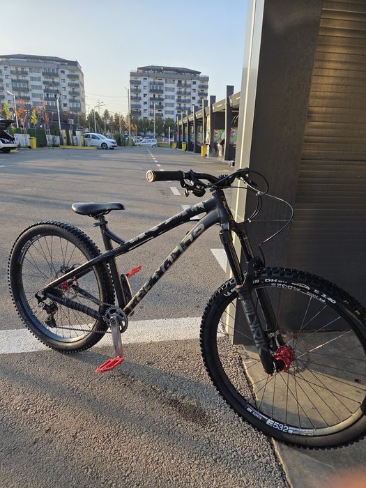 Dartmoor primal 2021