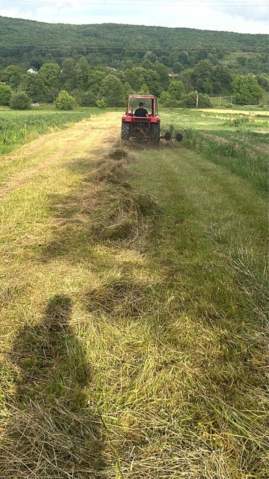 Vand baloti in stalpeni