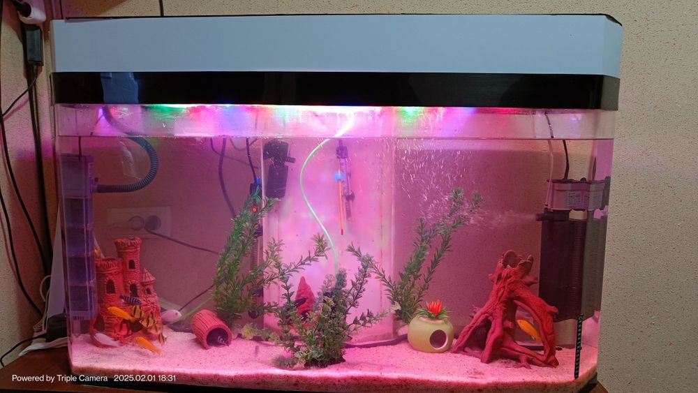 Akvarium quyma akril 250 Tali Ulgurib qoling+baliqlari bilan