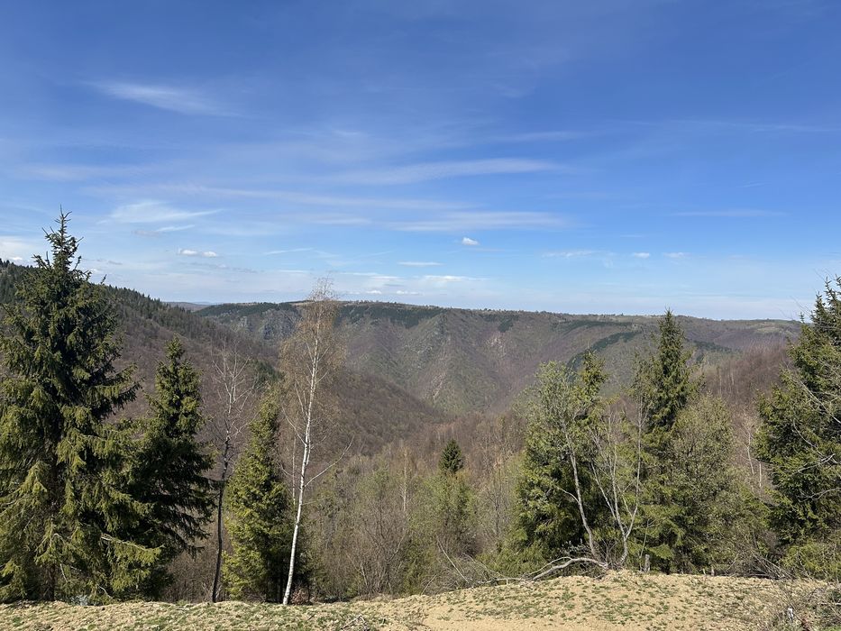 Teren de vanzare in Marisel