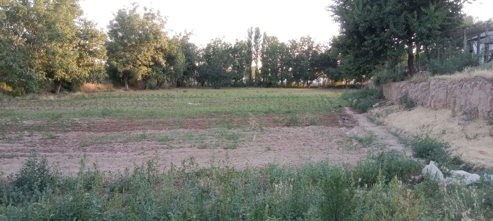 Quruq er 24 soʻtik sotiladi