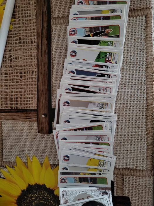Vănd/Schimb stickere Panini