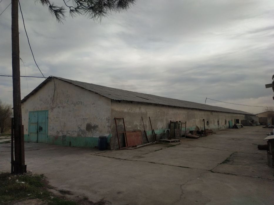 Нежелой ер сотилади Кибрай Байткургое