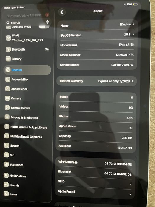 Ipad si apple pencil