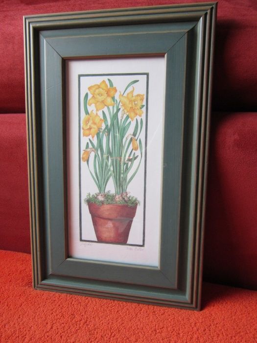 cadou rar  flori Narcise Fiona Butler& Isabelle Del Piano