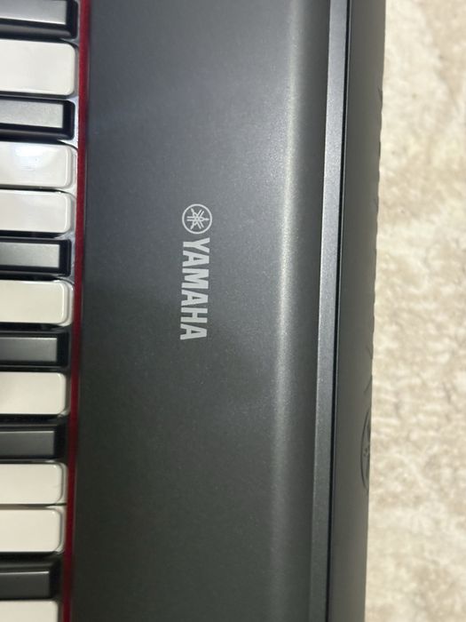 Orga Yamaha Piagerro np-12