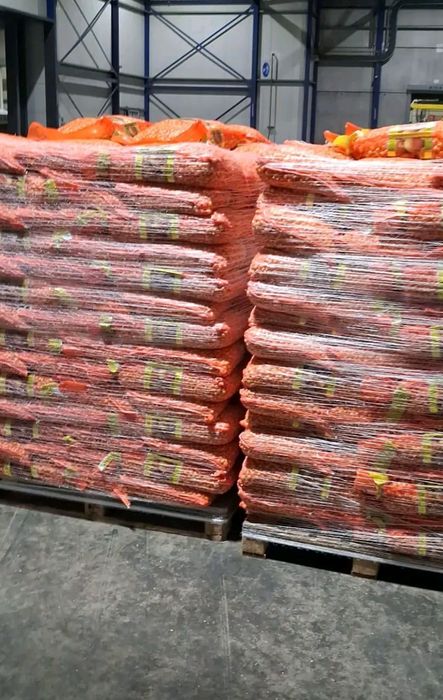 Vând arpagic [seminte de lucerna usturoi