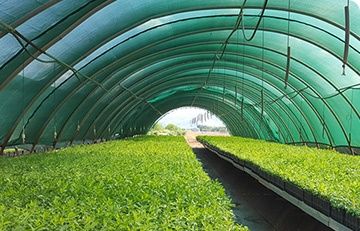 Притеняющая сетка