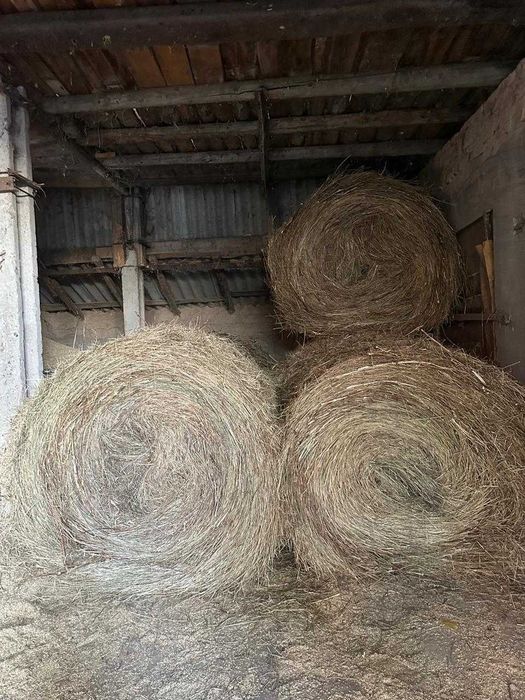 Продажа рулонов сена