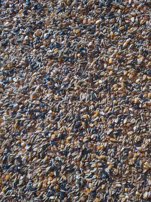 Vând amestec boabe pentru hrana animalelor