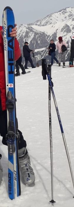 Горнолыжные ботинки