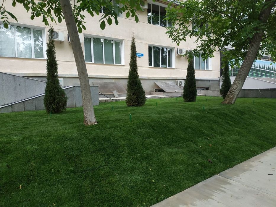 Газон     Gazon.