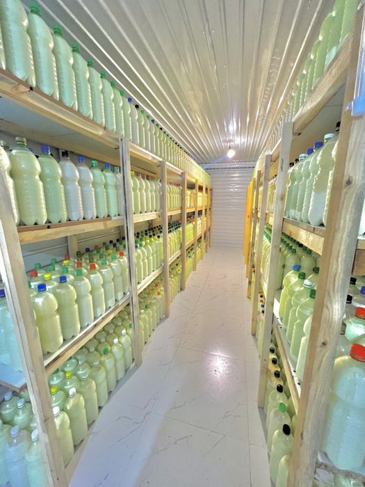 Продам Кымыз оптом, оптом от 100 литров по 1000 тенге