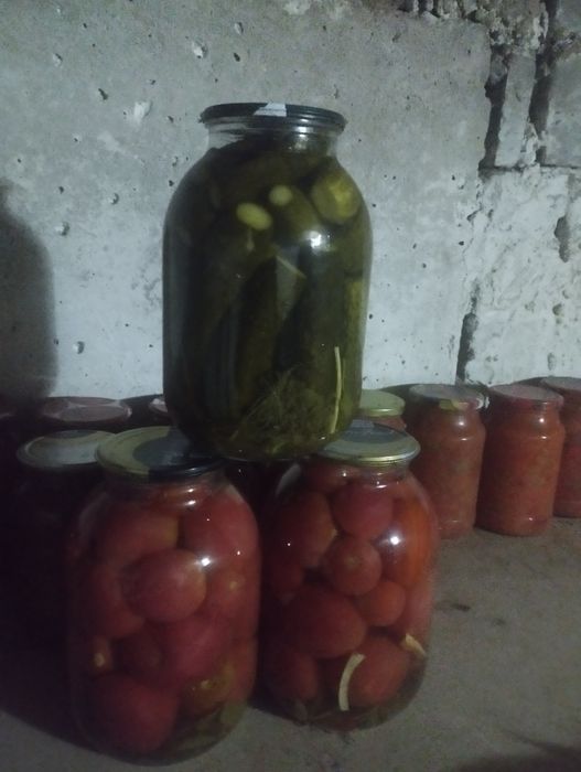 Продам огурцы помидоры